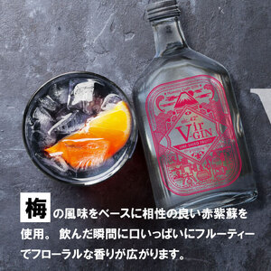 クラフト ジン Vir-GIN Ume-Shiso FRUITY 200ml 父の日 ギフト 贈答 アルコール 沼津 静岡 国産 梅 紫蘇 酒