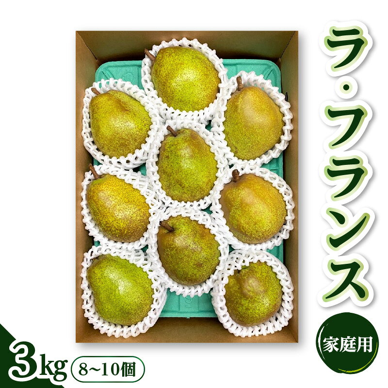 【ふるさと納税】西洋梨 ( ラ・フランス ) 3kg ご家庭用 8～10個 4L～2L 果物 フルーツ 洋梨 なし 山形県 上山市 0065-2607
