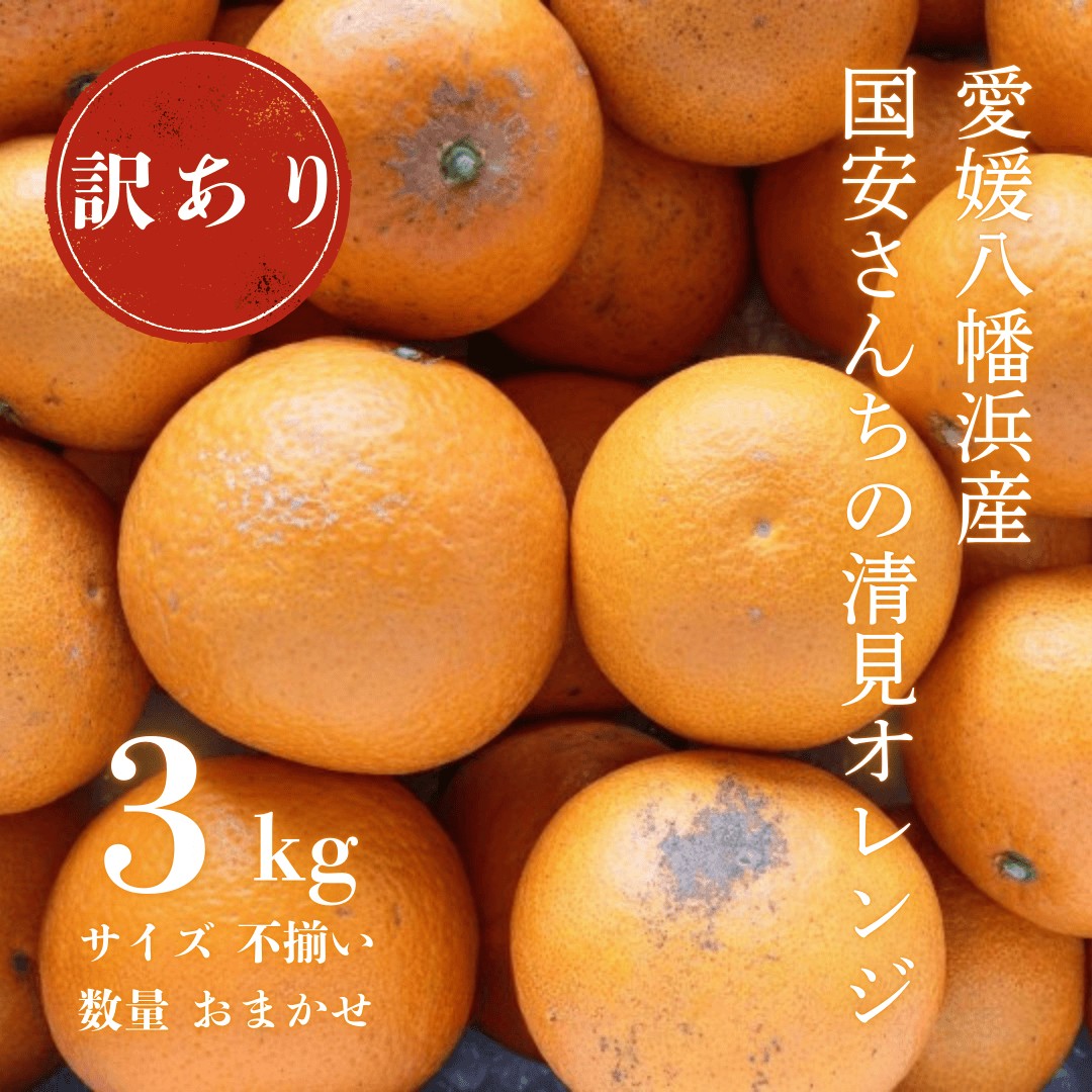 
                  ＜まるで食べるジュース!越冬完熟品＞愛媛産 訳あり 清見オレンジ 3kg＜C20-87＞【1625400】 YWTI082
                