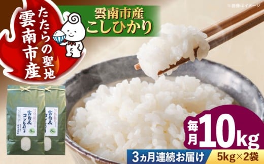 お米【全3回定期便】雲南市産コシヒカリ 10kg（5kg×2袋）こしひかり コシヒカリ 米 こめ おこめ はくまい 精米 コメ 10キロ 使いやすい ごはん ご飯 おにぎり お弁当 朝ごはん 朝食 食卓 主食 グルメ おいしい ふっくら もちもち 国産 新生活 一人暮らし 家族 ご当地 ごはんソムリエ おすすめ 人気 定期便 島根県雲南市/有限会社藤本米穀店  [AIDB109]