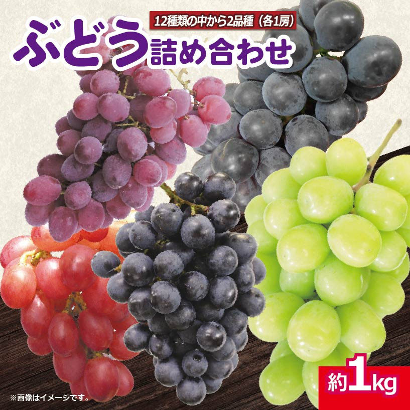 
            【先行予約】 シャインマスカット ぶどう 品種おまかせ 2房 約 1kg ＜出荷時期：2025年8月中旬～9月中旬頃＞ ピオーネ 藤稔 フルーツ 果物 葡萄 詰め合わせ 徳島県 阿波市
          