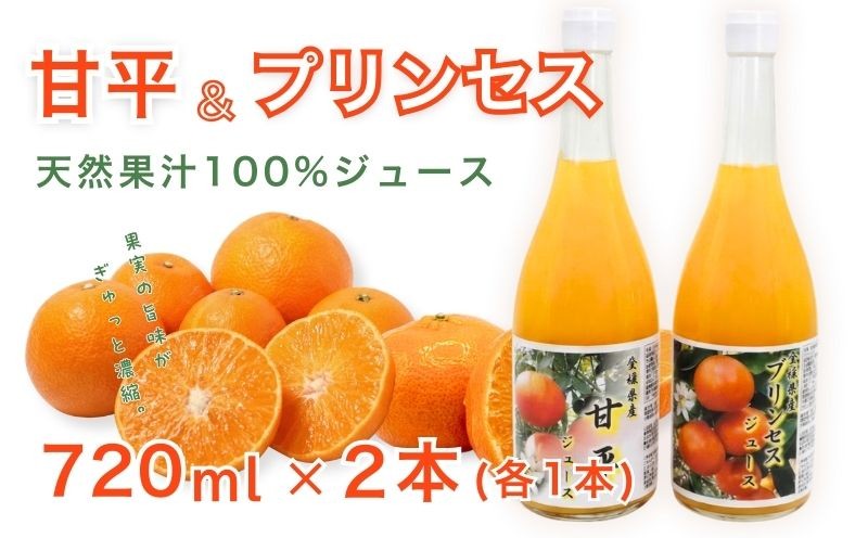 
                  プリンセスジュース 甘平ジュース ストレート 各720ml × 1本 2本セット 中山農園 みかん 蜜柑 プリンセス ジュース 甘平ジュース ストレートジュース オレンジジュース 100％ フルーツ ストレート  柑橘 果汁 無添加 農家直送 産地直送 数量限定 国産 愛媛 愛南 なくなり次第終了
                