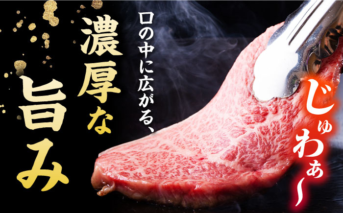 【3回定期便】五島牛 サーロインステーキ 210g×2 牛肉 肉 ブランド肉 五島市/ごとう農業協同組合 [PAF073]