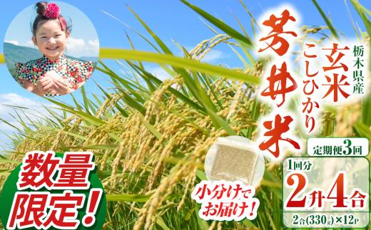 【定期便3回】【数量限定】【令和7年度】那珂川町産芳井米 玄米 330g（2合分）×12 | こしひかり  米 ごはん  ふっくら もちもち  ふるさと納税 那珂川町 栃木県