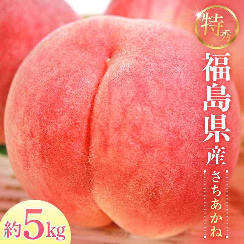 【2026年出荷分先行予約】福島県産 特秀 さちあかね 約5kg (15～18玉) ふくしま未来農業協同組合 特秀 透過式光センサー選別 糖度12度以上 固め 伊達の桃 桃 フルーツ 果物 もも モモ