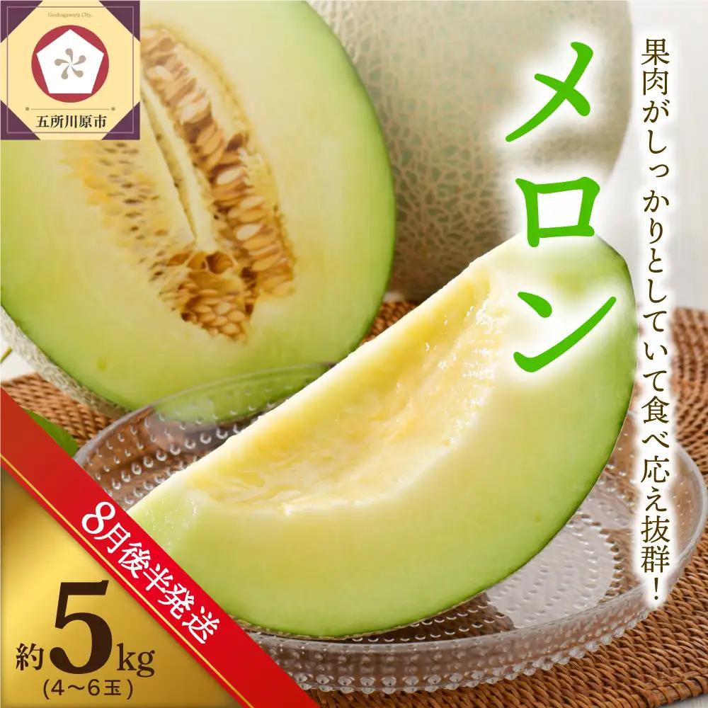 【2026年8月後半発送】 メロン 青肉 約5kg (4～6玉) 青森県産 メロン