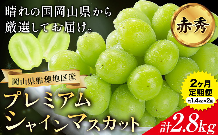 【2026年先行予約】ぶどう プレミアム シャインマスカット定期便 9月 10月発送 船穂 赤秀品 晴王 計2.8kg (約1.4kg×2回お届け) 《2026年9月中旬-10月末頃より出荷予定(土日祝除く)》晴レ乃青果　(岡山中央卸売市場店(富士紙工 有限会社)) マスカット 岡山県 浅口市 フルーツ 果物 【配送不可地域あり】（北海道・沖縄・離島）