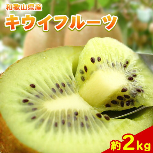 【ふるさと納税】和歌山県紀の川市産キウイフルーツ約2kg(サイズおまかせ)・秀品 紀の川市厳選館 先行予約《2025年11月下旬-2026年4月中旬頃より出荷予定》 和歌山県 紀の川市 果物 フルーツ キウイ