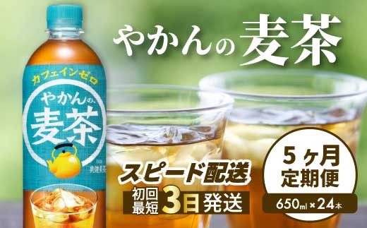 【5か月定期便】やかんの麦茶 from 爽健美茶 PET 650ml×24本(1ケース) ペットボトル お茶 むぎ茶 飲料 カフェインゼロ 箱買い まとめ買い 防災 備蓄 014008