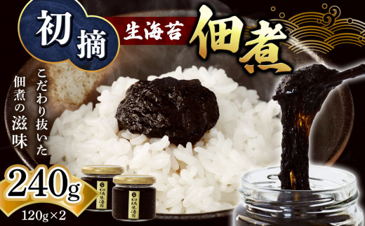 初摘 生海苔 佃煮 120g×2 | 魚貝類 海産物 海の幸 海苔 のり 海苔の佃煮 熊本県 玉名市