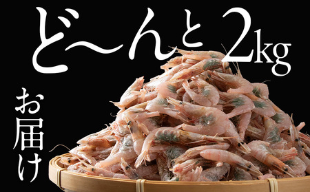 北海道産 白老加工 南蛮えび1kg×2＜斉藤水産＞ AM204