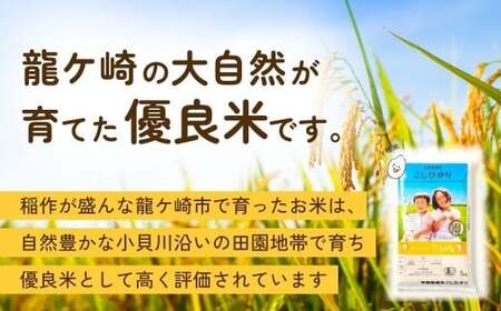 【令和7年度産】横田農場の有機栽培コシヒカリ 5kg | こしひかり 茨城県 龍ケ崎市