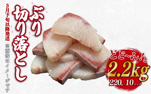 ブリ  切り落とし 2.2kg 220g ×10パック 天然鰤 国産ぶり buri 産地直送 刺身 お刺身 漬け丼 茶漬け 冷凍 小分け 大容量 国産 刺身 刺し身 魚 魚介 国産 天然 三重 南伊勢町 伊勢 志摩 二万円 20000円 外湾漁業協同組合