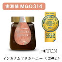 【ふるさと納税】【実測値MGO271】インカナム マヌカハニー 250g MGO 220+_ マヌカハニー 蜂蜜 はちみつ ハニー TCN MGOインカナム ニュージーランド レプトスペルマム系はちみつ 人気 おすすめ 送料無料 瓶 モンドセレクション 金賞 【1384299】