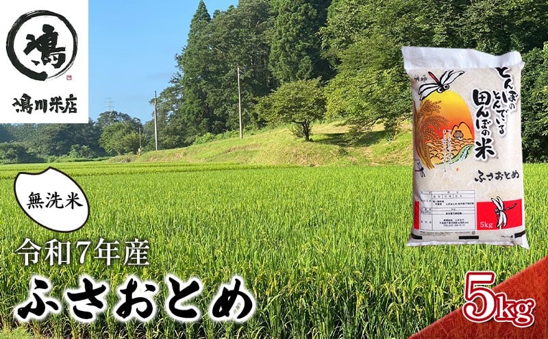 
            新米　令和7年 ふさおとめ　無洗米　5kg【 お米 精米 大粒 粘り気 ファン 】 千葉県  [№5346-0317]
          