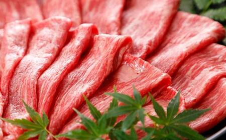 FKP9-557 【6カ月定期便】くまもと黒毛和牛 すきやき用 500g