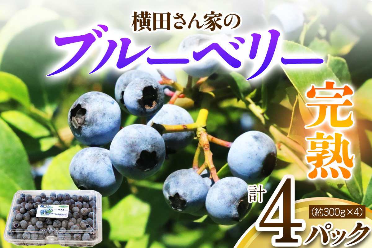 
            横田さん家の完熟ブルーベリー 4パック (約300g×4)｜果物 くだもの フルーツ スイーツ 旬ジャム ヨーグルト [1606]
          