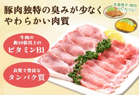 肥前さくらポーク詰合せCセット(さくらポークとんかつ5枚・生姜焼き500g・焼肉用300g)【JA 美味しい やわらか ジューシー 高品質 ビタミン タンパク質 限定生産 冷凍】 A5-A012009