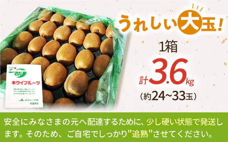 【先行予約】佐賀県産 キウイフルーツ（ヘイワード）3.6kg【JAさが】[HBZ001] キウイ 果物 くだもの