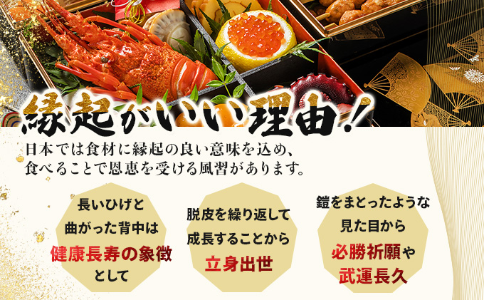 室戸産活冷伊勢海老【２〜３尾】＜室戸獲れイセエビ＞