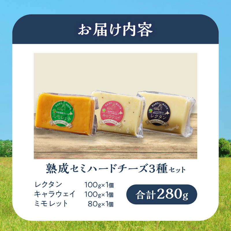 【おおともチーズ工房】《熟成の旨味を堪能!!》熟成セミハードチーズ3種セット_H0003-017