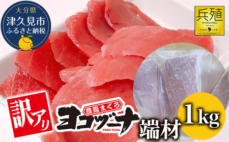 本まぐろヨコヅーナ 訳あり 本まぐろ 端材 1kg