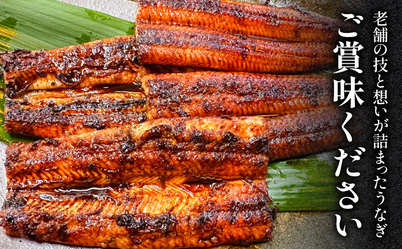 一力のうなぎ蒲焼 約140g×2尾 鰻 冷凍 老舗_M391-001