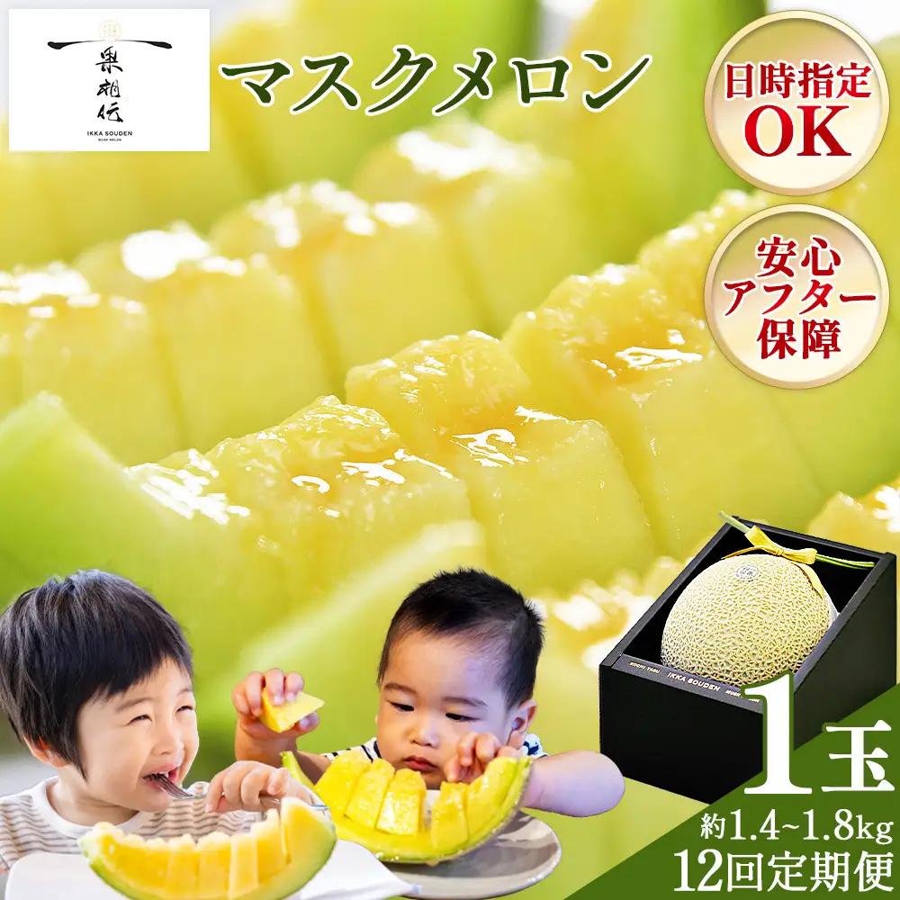 【12回定期便】マスクメロン（贈答用） 1玉入 青肉品種 高級メロン！ ／ マスクメロン 果物 フルーツ ギフト 農家直送 Wtn-0052