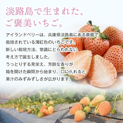 ふるさと納税 淡路市 淡路島アイランドベリー 白苺淡雪【2026年4月発送先行受付・お届け日指定不可】　as14825 |  | 01
