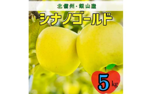 【先行予約】シナノゴールド【約5ｋｇ(12〜18玉)】(S-1.3)