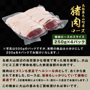 GB-10　猪肉　ロース　1kg（250g×4パック）