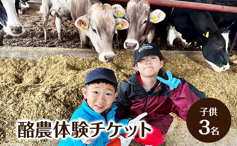 酪農体験チケット 子供3名 【 体験チケット 酪農 北海道 幕別町 牛 搾乳 牧場 自然 】