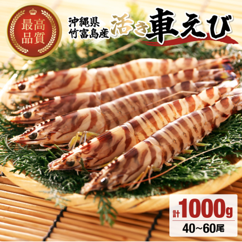 竹富島産 活車えび 1kg:40～60尾