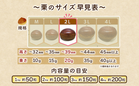 ＜生栗 2Lサイズ（約3kg）＞甘い 栗 マロン くり 和栗 栗ごはん モンブラン 栗きんとん 栗まんじゅう 甘露煮 スイーツ ケーキ 洋菓子 和菓子 お菓子 秋 味覚 産地直送 城川ファクトリー 愛