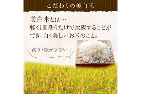 令和7年産 美白精米 丹後こしひかり 5kg 1等米