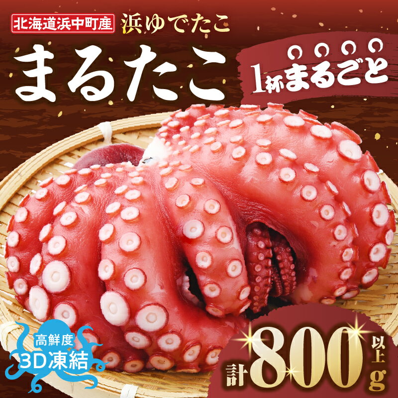 【ふるさと納税】≪期間・数量限定・発送時期が選べる≫浜ゆでたこ「まる たこ」800g以上×1袋 北海道 浜中町産 新物 たこ タコ 一匹 一杯 1匹 下足 刺身 唐揚げ おかず おつまみ 真空パック 国産 海鮮 海の幸 海産物 新鮮 人気 おすすめ 贈り物 ギフト 送料無料