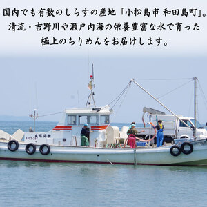 【漁師自ら獲れたて加工！】 ちりめん 200g  匠の極上ちりめん 徳島 小松島