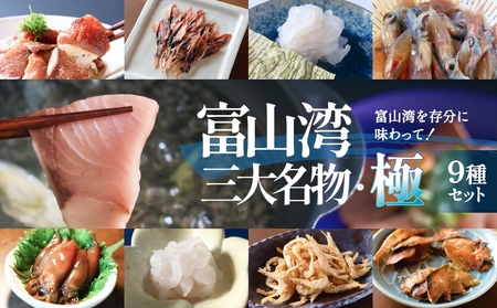 富山湾三大名物・極 鰤 ホタルイカ 白えび つめ合わせ ブリ ほたるいか 富山県 氷見市