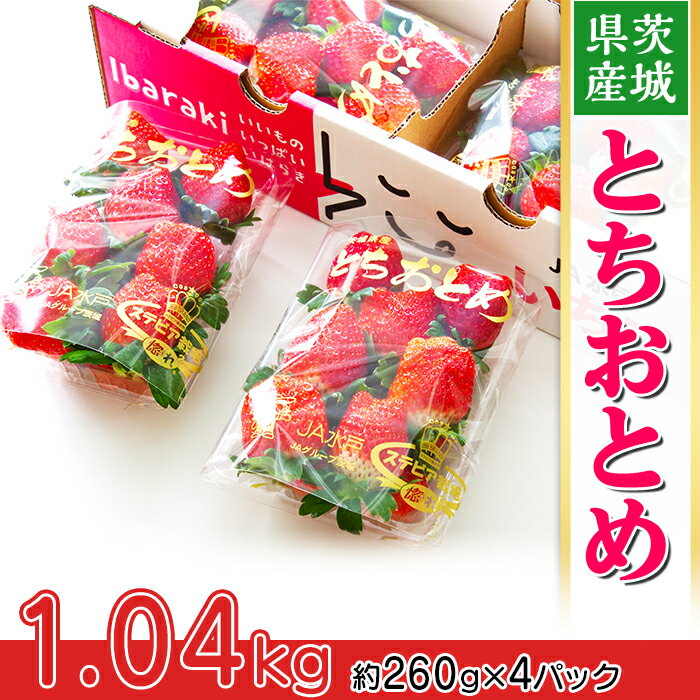 【ふるさと納税】いちご 先行予約 とちおとめ イチゴ 苺 002茨城県産いちご「とちおとめ」1.04kg（4パック）【2026年1月中旬頃～3月下旬頃発送予定】