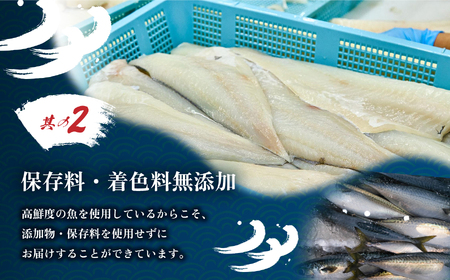 サバ 訳あり 塩さば 切り身 2kg