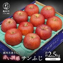 【ふるさと納税】 奥州市産りんご 赤い誘惑「サンふじ」約2.5kg 7-10玉 優品 フルーツ 果物 1箱 [AQ079]