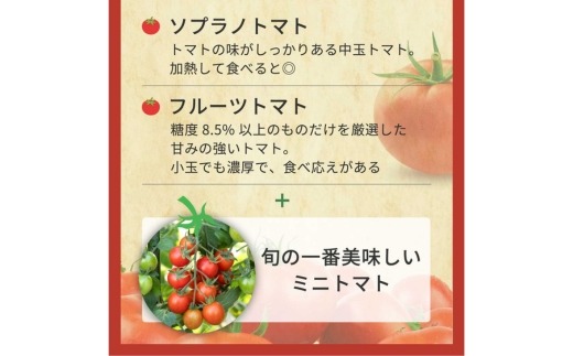 完熟トマト食べ比べセット約1kg 3種類のトマト 美味しさ選別 ｜とまと トマト 減農薬 野菜 やさい 人気 新鮮 産地直送 直売 甘い 高糖度 完熟 リコピン ビタミン ダイエット 美容 美肌 愛知県 美浜町 ※2026年1月上旬～5月下旬頃に順次発送