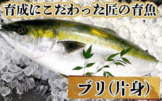 黒潮の恵み高知県産　ブリ片身セット　MM014_x