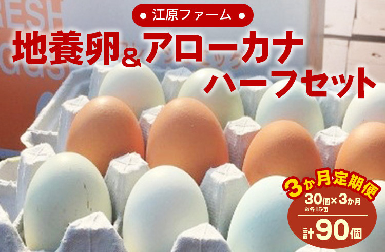 
                  【定期便3か月】江原ファーム　地養卵＆アローカナハーフセット（30個） ※着日指定不可 | 卵 定期便 30個 玉子 たまご タマゴ 生卵 鶏卵 生みたて 産みたて アローカナ 地養卵 食べくらべ 食べ比べ セット 新鮮 濃厚 健康 青い卵 TKG たまごかけごはん ご飯のお供 国産 ギフト 贈答 贈り物 お中元 お歳暮 プレゼント 茨城県 古河市 直送 農家直送 産地直送 送料無料 _AG19
                