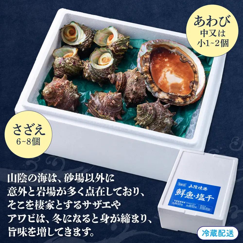 ＜土日祝着＞＜1月上旬～2月上旬頃順次配送＞あわび・さざえ詰合せ(2種) 【鳥取県 境港市】