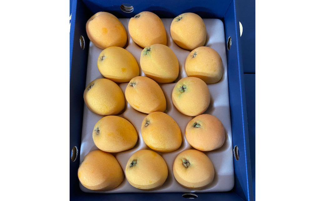 先行予約 枇杷「なつたより」1kg ／ 果物 くだもの フルーツ ビワ びわ 長崎県 長崎市 オンライン決済限定 【2026年5月上旬～下旬迄発送予定】