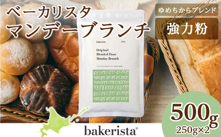 マンデーブランチ 500g（250g×2）