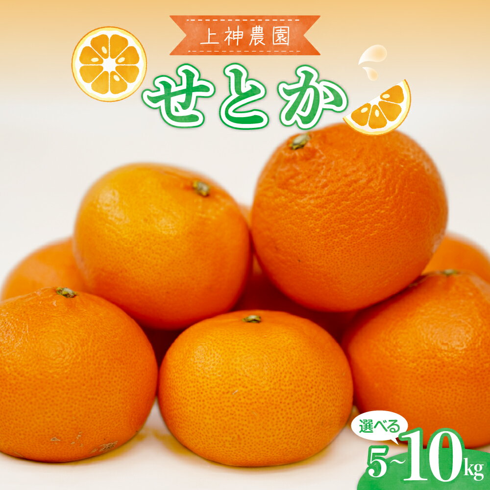 【ふるさと納税】先行予約 みかん 広島県産 せとか 約 5kg 約 10kg 【2026年2月初旬～発送】蜜柑 フルーツ 果物 柑橘 ジューシー 多汁 ビタミンC 柑橘の女王 国産 国内産 上神農園 お取り寄せグルメ 送料無料 産地直送 瀬戸内海 オレンジ ジュース 先行受付 広島県 呉市