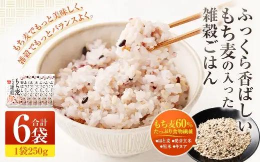 【はくばく】ふっくら香ばしいもち麦の入った雑穀ごはん 250g×6袋 雑穀 雑穀米 コメ 米 国産 ご飯 ごはん 雑穀ごはん もち麦 発芽玄米 キヌア はと麦