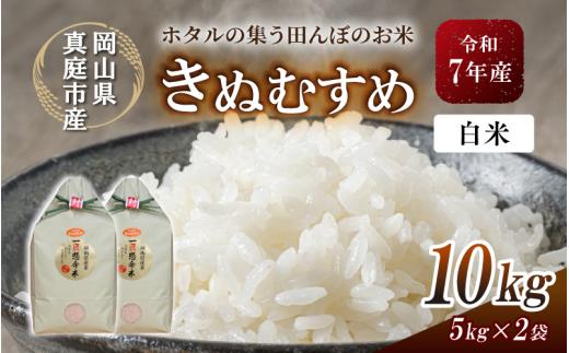 令和7年産 真庭市産 きぬむすめ 白米 10kg / お米 国産 岡山県 米 人気 ブランド 2025年産 【tkns006-01-cho】